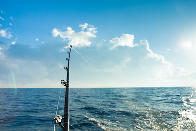 Favorite Saltwater Fishing Rod